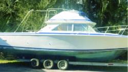 1985 28' BERTRAM FLYBRIDGE CRUISER