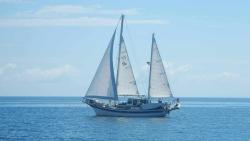 1976 41' Islander SAILING VESSEL