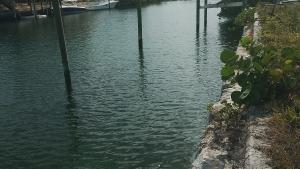 Grand Bahama Deep water dockage
