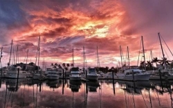 Twin Dolphin Marina image